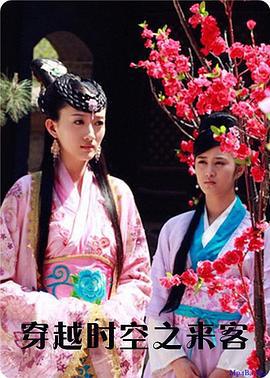 穿越时空之来客 (2010)海报