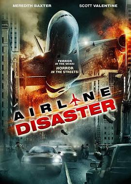 空难 Airline Disaster (2010)海报