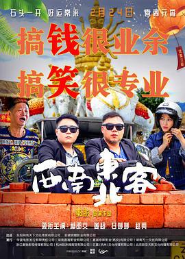 西南东北客 (2024)海报