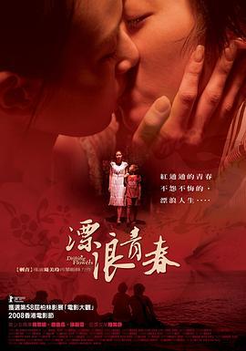 漂浪青春 (2008)海报