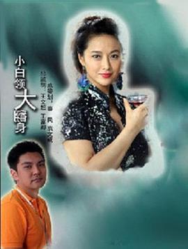 小白领大翻身 (2011)海报