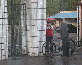 父亲是棵树 (2013)海报