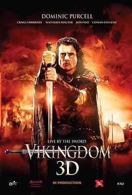 维京王国 Vikingdom (2013)海报