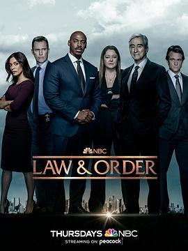 法律与秩序 第二十二季 Law & Order Season 22 (2022)海报