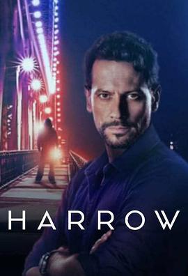 神秘法医 第二季 Harrow Season 2 (2019)海报