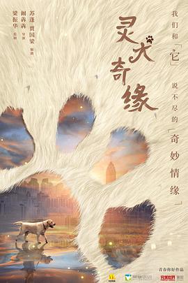 灵犬奇缘 (2022)海报