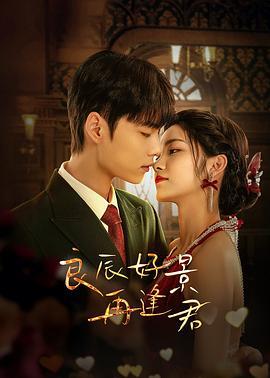 良辰好景再逢君 (2024)海报