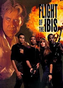 猎枭行动 Flight of the Ibis (1996)海报