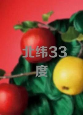 北纬33度 (2010)海报
