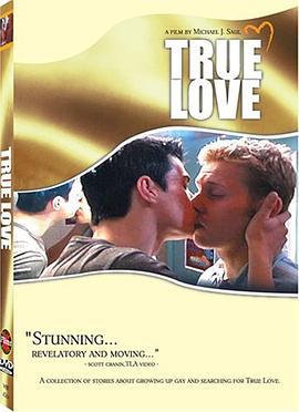 真爱 True Love (2005)海报
