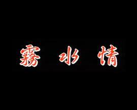 雾水情 (1991)海报