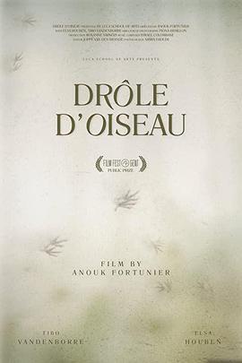 奇怪的鸟 Drôle d'Oiseau (2015)海报