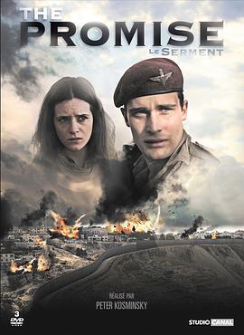 诺言 The Promise (2011)海报