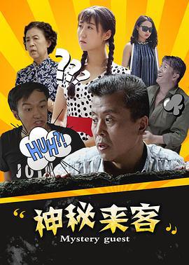 神秘来客 (2016)海报