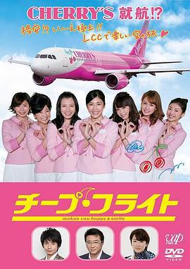 廉价航班 チープ・フライト (2013)海报