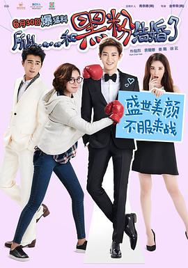所以……和黑粉结婚了 (2016)海报