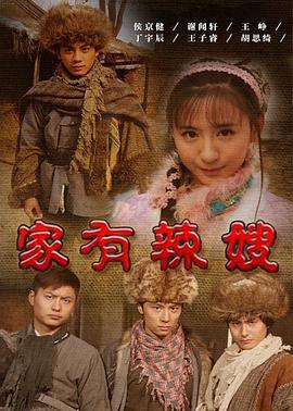 家有辣嫂 (2011)海报