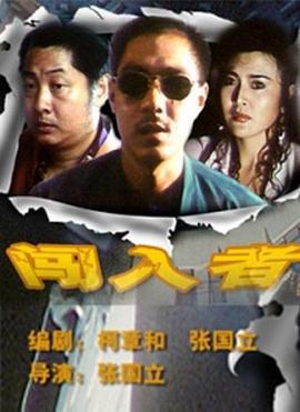 闯入者 (1993)海报