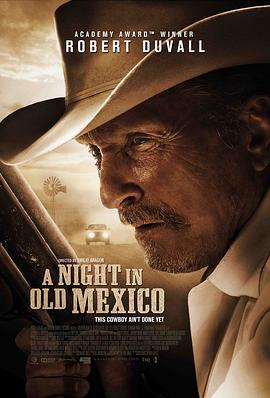 旧墨西哥一夜 A Night in Old Mexico (2013)海报
