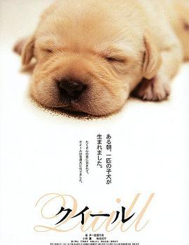 导盲犬小Q クイール (2004)海报