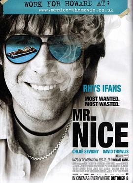 好心先生 Mr. Nice (2010)海报