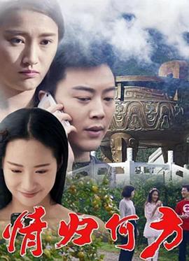 情归何方 (2017)海报