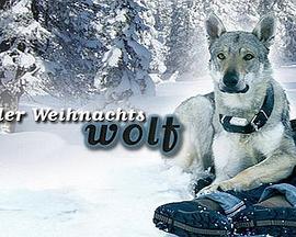 我会回来过圣诞 Der Weihnachtswolf (2000)海报