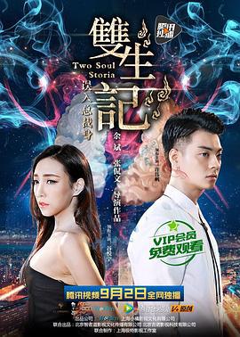双生记之误入总裁身 (2016)海报
