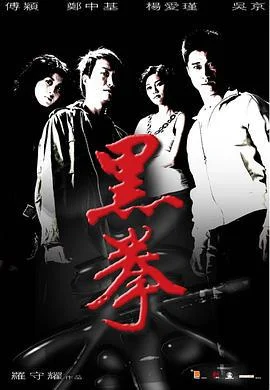 生死拳 黑拳 (2006)海报