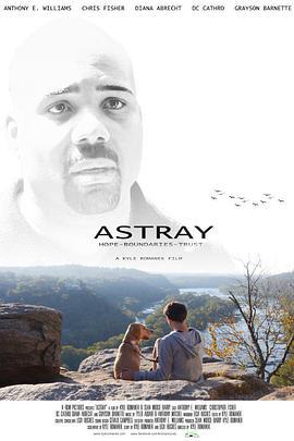 误入歧途 Astray (2014)海报