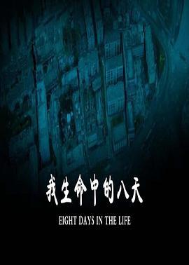 我生命中的八天 (2010)海报