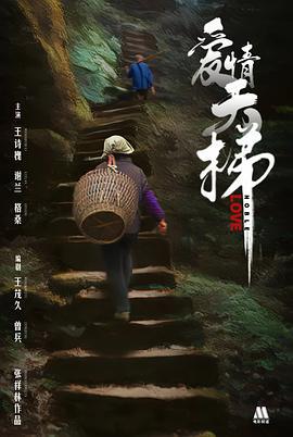 爱情天梯 (2013)海报