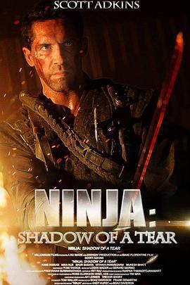 忍者2：撕裂的暗影 Ninja: Shadow of a Tear (2013)海报