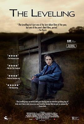 平衡人生 The Levelling (2016)海报