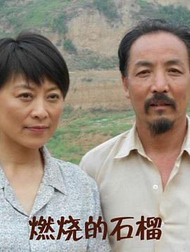 燃烧的石榴 (2012)海报
