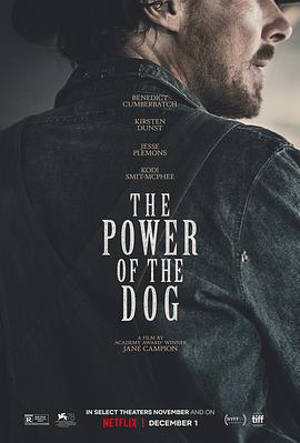 犬之力 The Power of the Dog (2021)海报