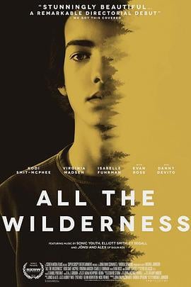 荒原上的青春 All the Wilderness (2014)海报