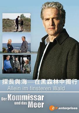 探长与海：在黑森林中独行 allein im finsteren wald (2012)海报