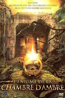 消逝的琥珀宫 Die Jagd nach dem Bernsteinzimmer (2012)海报