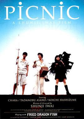 梦旅人 PicNic (1996)海报