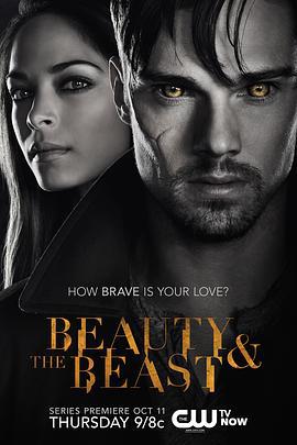 侠胆雄狮 第一季 Beauty and the Beast Season 1 (2012)海报
