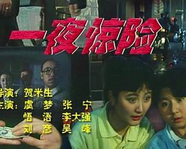 一夜惊险 (1993)海报