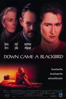 绝地逢生 Down Came a Blackbird (1995)海报