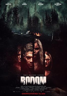 波登湖 Bodom (2016)海报