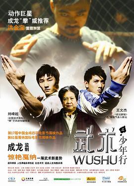 武术之少年行 (2008)海报
