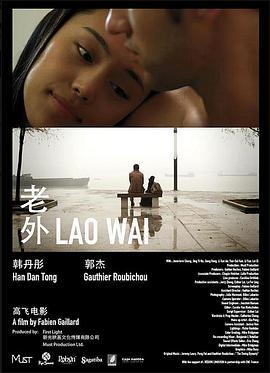 老外 (2010)海报