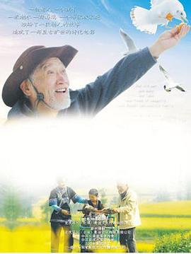 海鸥老人 (2015)海报