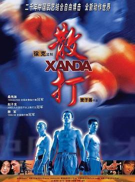 散打 (2004)海报