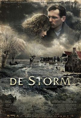 暴风雨 De storm (2009)海报
