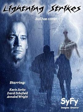 闪电袭击 Lightning Strikes (2010)海报